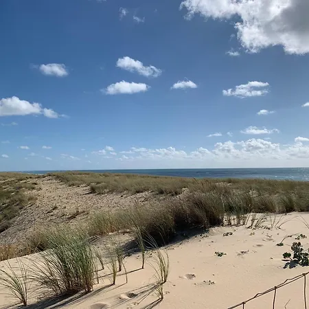 Les Herons Holiday home *